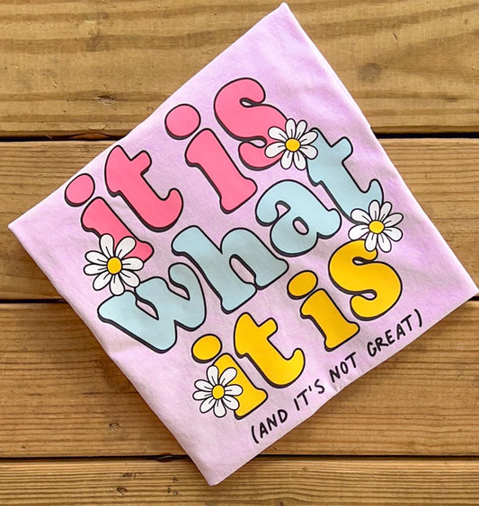 It Is What It Is Tee - Comfort Colors
